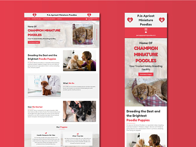 PJ's Apricot Miniature Poodles minimal responsive web design typography website design wordpress