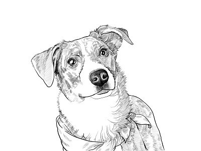 Animal Drawing Illustration animal animalpotrait black white design digital painting drawing illustration lineart painting potrait sketch sketchart