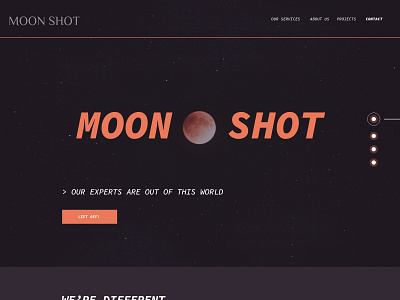 MOON SHOT BUSINESS MARKETING