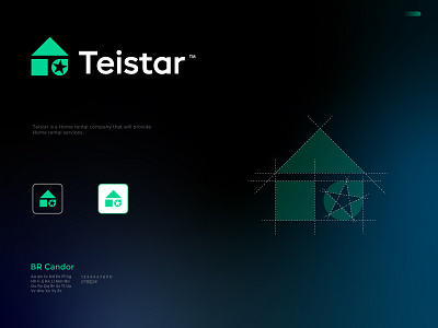 Teistar home rental logo building creative flat logo home home logo home services house logo logo design minimal logo modern modern logo real state rent rental services house star house