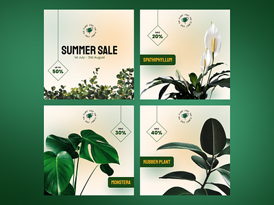 Instagram Post Collection | Plant Sale ☘️ ad design clean design design graphic design illustration instagram media modern plant post sale social summersale ui