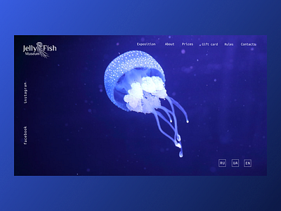 Jellyfish Museum dark theme figma figma design jellyfish landing page landing page design web web design