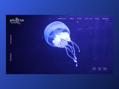 Jellyfish Museum