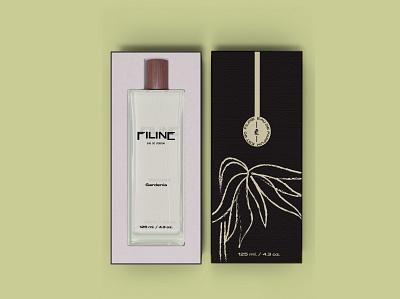 Filine Eau De Parfum Packaging Design botanical brand branding design floral illustration line drawing logo packaging design perfumer typography visual identity
