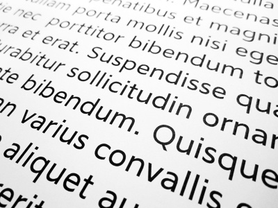 Type Specimen font sans typography