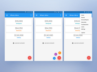 Whats Mine // Assets Management App Interface