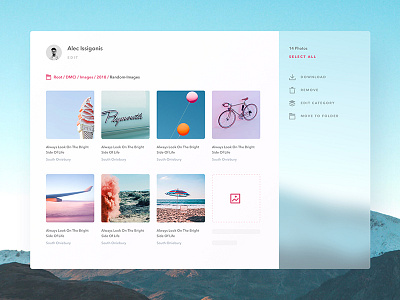 Photography Web Application UI - Concept app blur clean colors design fluent gradient mac minimal photography ui