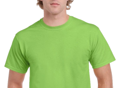 Gildan Heavy Cotton 1st Quality T-Shirts G5000 custom t shirt design t shirt print wholesale