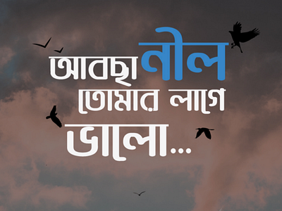 Bangla Typography bangla typography