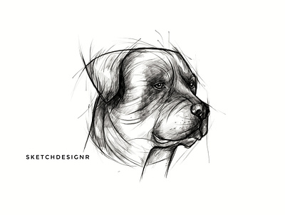 Pencil Pet Portrait artwork dog dog sketch illustration line art lineart pencil art pencil drawing pencil sketch pet pet sketch sketch sketchbook vector