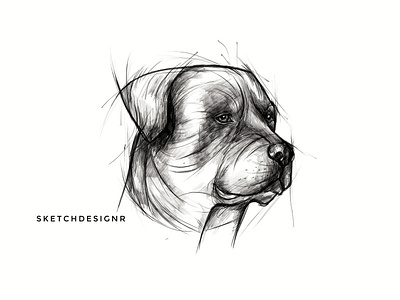 Pencil Pet Portrait artwork dog dog sketch illustration line art lineart pencil art pencil drawing pencil sketch pet pet sketch sketch sketchbook vector