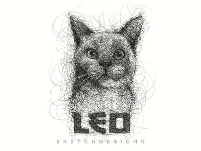 Scribble Sketch artist artwork cat design illustration logo pet portrait portrait art sketch sketchbook ui