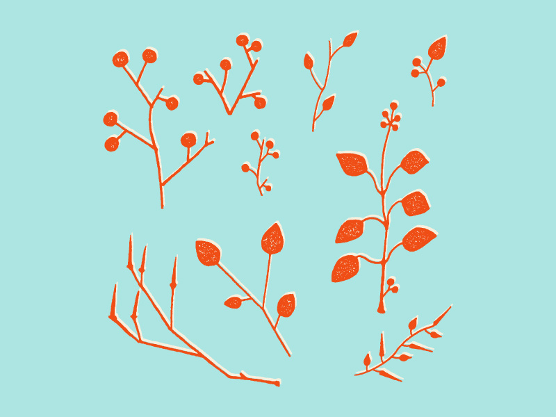 Minimal Nature Elements minimal contemporary floral leaves nature design pattern hand drawn drawing illustration