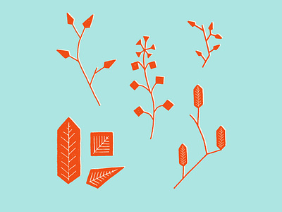 More Minimal'ish Nature Elements contemporary drawing floral geometric hand drawn illustration leaves minimal nature pattern