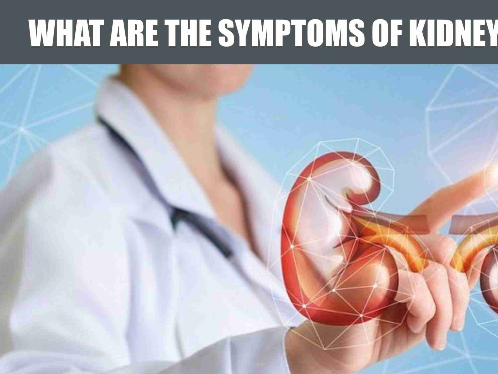 WHAT ARE THE SYMPTOMS OF KIDNEY PROBLEM by bkarogyam on