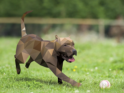Low-Poly Pit Bull animal dog low lowpoly poly polygon