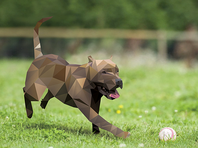 Low-Poly Pit Bull