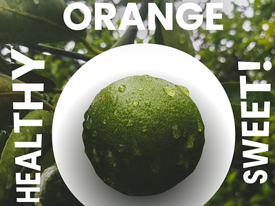 Orange - Sweet and Healthy One banner design design forest fruit graphic design healthy illustration logo nature orange sweet typography vector