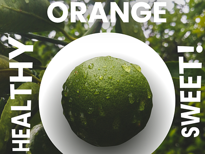 Orange - Sweet and Healthy One