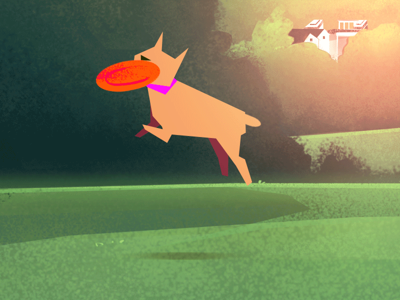 Dog Frisbee Catch ae after effects animation catch dog frisbee jump
