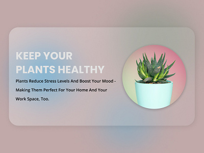 Plant post idea animation graphic design ui