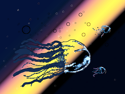Nautical jellyfishes adobeillustrator art contemporaryart design graphic design illustration vector