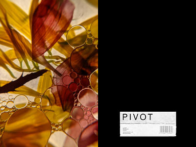 Pivot Studios - Oil Packaging Moodboard