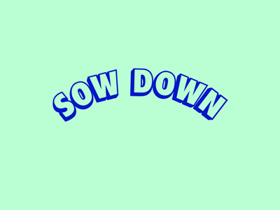 Sowdown branding custom design identity lettering logo sowdown spacing typography