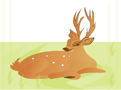 Deer deer deer illustration digital art illustrator painting vector