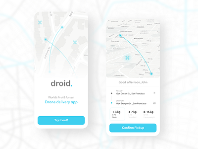 Drone Delivery App UI