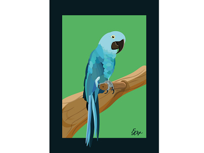 Parrot animal bird card graphic illustration illustration art illustrations illustrator parrot vector