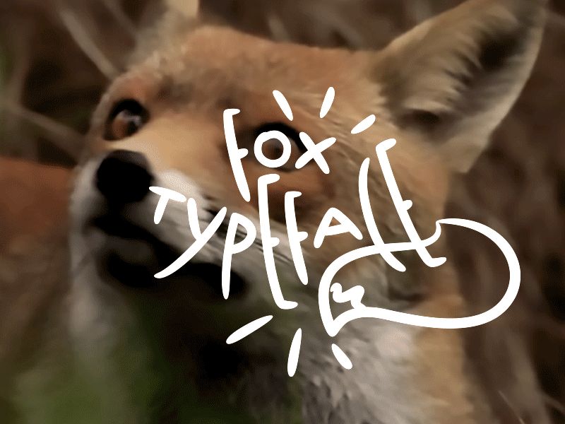 Fox Typeface 🦊 egotreep font fox handmade typeface typography