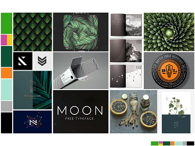 Identity Moodboard: Sophisticated Nature branding color color pallet inspiration mood board moodboard nature