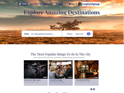Travel website  UI design