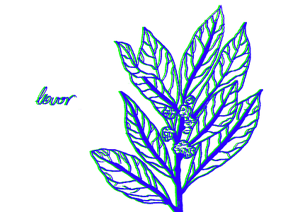 Laurus nobilis bay bitmap digital herbarium illustration laurel leaves pixel plants rgb