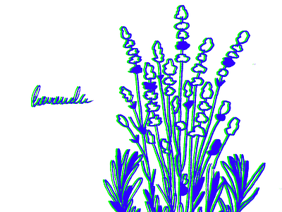 Lavandula bitmap digital flowers herbarium illustration lavender pixel plants rgb