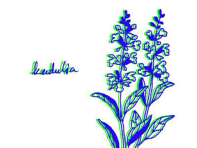 Salvia officinalis bitmap digital flowers herbarium illustration pixel plants rgb sage