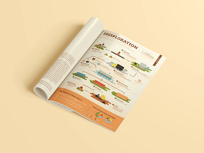 "Eggsploration" Editorial Infographic Illustration chicken editorial illustration egg farm hen illustrated infographic illustration infographic magazine nature orange poultry publication