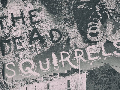 The Dead Squirrels design graphics grunge mono poster punk retro texture