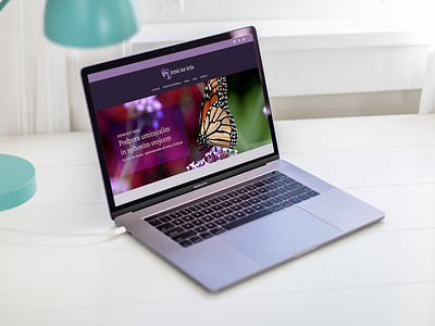 Krhki kot krila website ui ux web design website website design