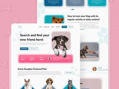 Pet Adoption web UI design