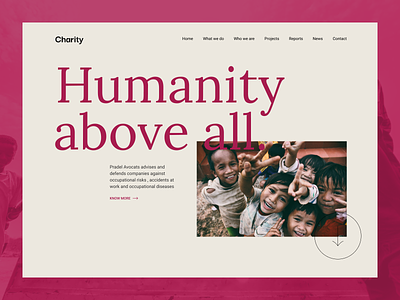 Charity Website Concept