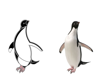 Penguin Logo brand identity branding design graphic design illustration logo vector
