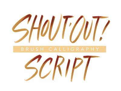 Shout Out Script calligraphic calligraphy design hand lettering hand-lettering handlettering illustration logo