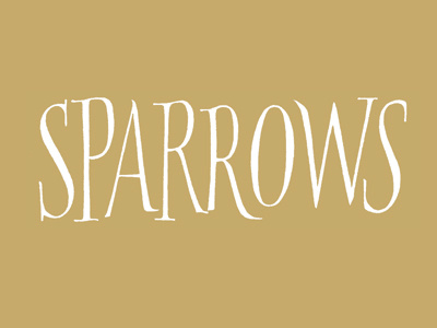 Sparrows roman sparrow calligraphic pointed brush calligraphy brush brushlettering handlettering