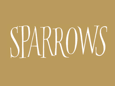 Sparrows brush brushlettering calligraphic calligraphy handlettering pointed brush roman sparrow
