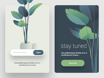 Subscribe Page illustration leaf minimal plant subscribe ui ux vase