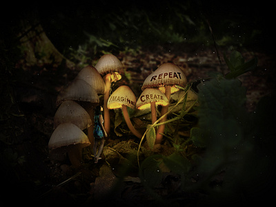 magic mushrooms landscape photoshop