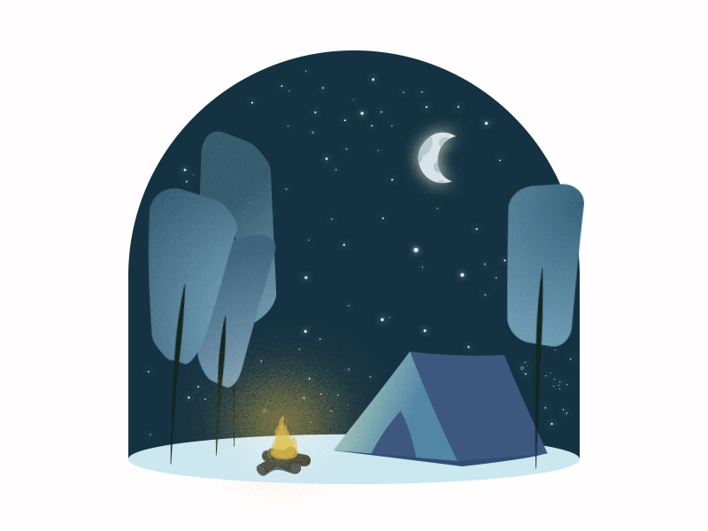 Cozy Night Camp