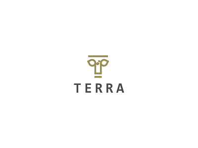 Terra brand branding debut dribble identity logo logomark logos